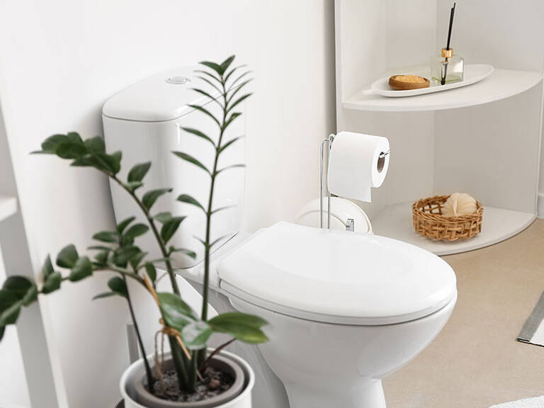 Bathroom Toilet