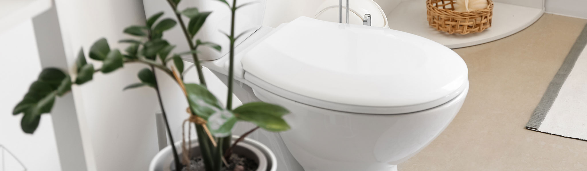 Batroom Toilet