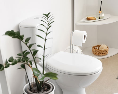Toilet in bathroom